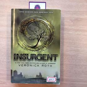 Insurgent (Divergent Trilogy #2)反叛者 分歧者系列第二部 英文原版