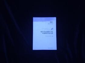 国外中国学研究丛书：海外学者视野中的中国城市化问题