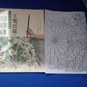 新编养心斋描摹画谱：工笔百花（2）