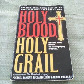 HOLY BLOOD HOLY GRAIL（平装没勾画）