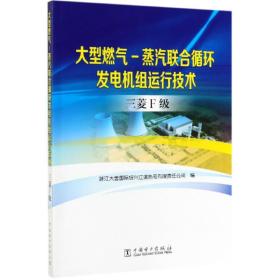 大型燃气—蒸汽联合循环发电机组运行技术 三菱F级