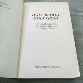 HOLY BLOOD HOLY GRAIL（平装没勾画）