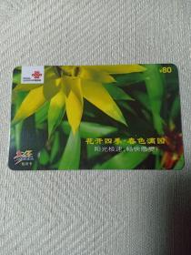 卡片599 花开四季 春色满园 ¥80 阳光极限包月卡 中国联通 BJT-YGJS-2009-P2（3-2）阳光极速宽带卡