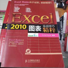 实战技巧精粹：Excel2010图表