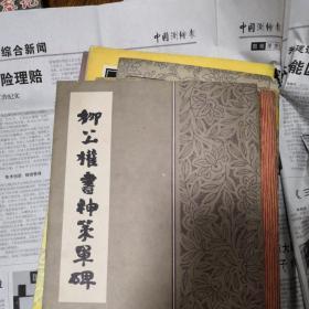柳体楷书宋诗字帖，唐颜真卿书多宝塔碑，柳公权书神策军碑，王羲之行书结构习字贴，行书字帖鲁迅诗歌选，邓石如隶书字帖，楷书间架结构九十二法字帖，柳体楷书间架结构习字帖，大字麻姑仙坛记字帖，楷书字范，少年书法，合计12册