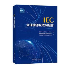 IEC 全球能源互联网报告（中英文对照）