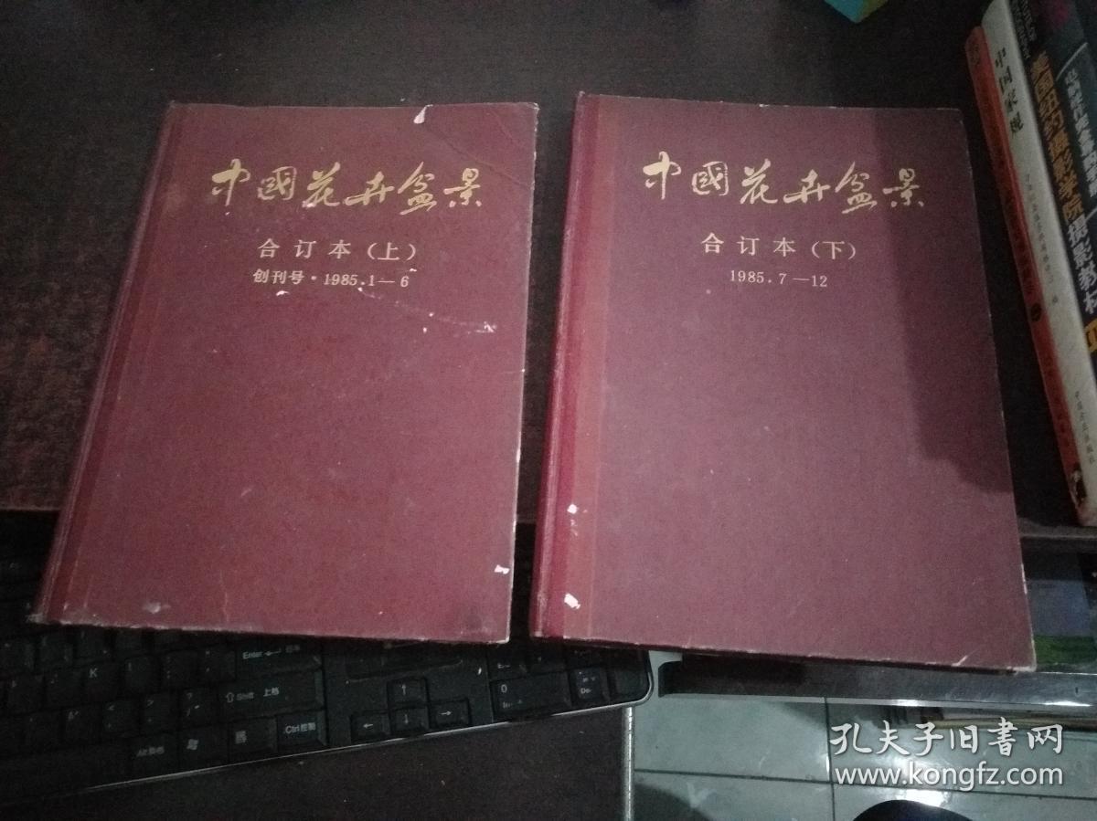 点击查看原图 中国花卉盆景(1985年1-6,7-12,,全年合订本,上下两本合售,含创刊号)
