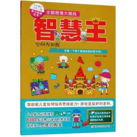 全脑思维大挑战:智慧王(空间力训练)中国少年儿童智力挑战全书
