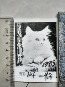 1985恭贺新禧 猫 照片贺年卡