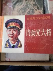 十大将军传记丛书 连环画 谭政.王树声.黄克诚..肖劲光.陈赓.徐海东.许光达（大将）共8本合售