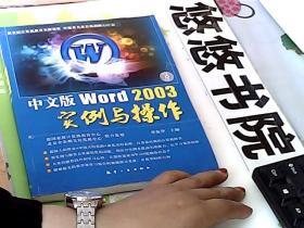 金企鹅计算机畅销图书系列：中文版Word 2003实例与操作