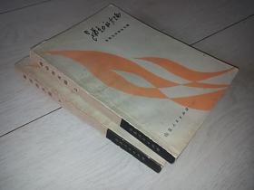 跳动的火焰 （上下册 电影文学剧本专辑）  （含9个文学剧本 见描述）