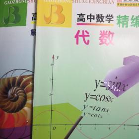 高中数学精编：代数