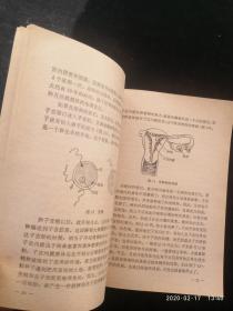 性的知识【无涂划】