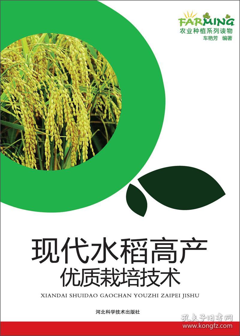 新书）现代水稻高产优质栽培技术