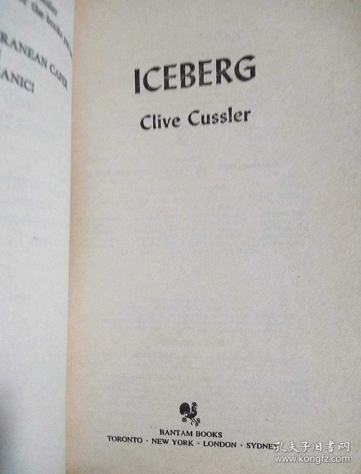 Iceberg