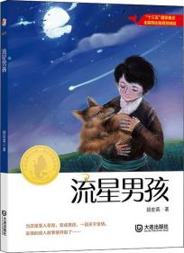 流星男孩