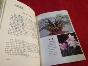 百美图（1994年一版一印，彩印100种特色花卉图片、介绍及花语等   仅印3千册）