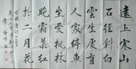 中书协会员.西安工业大学艺术与传媒学院教授常栓怀作品