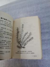 常用中草药手册（塑皮精装），