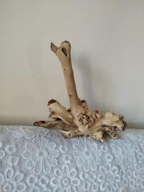 天鹅龙 坐如天鹅卧如龙 立似飞龙上青天，东北黄花梨根雕，独一无二的存在，精心纯手工制作半月有余，木质太硬，实在是不易，天然图腾天然色，绝不上色上漆，道法自然。2800元包邮非偏远，好货卖给有缘人，非诚勿扰。
