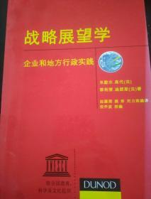 战略展望学
企业和地方行政实践