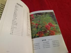 百美图（1994年一版一印，彩印100种特色花卉图片、介绍及花语等   仅印3千册）