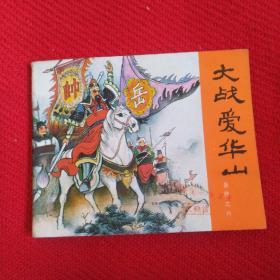 大战爱华山（岳传之六）