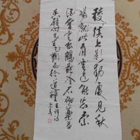 田孝忠书法作品:王铎诗（如图）98X53.5cm河南省人