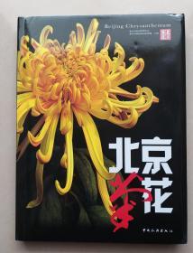 北京菊花 .