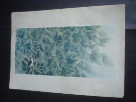 8开印刷品，李天玉先生作品9