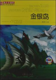 .班主任推荐青少年成长必读书—金银岛（美绘版）