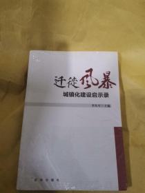 迁徙风暴：城镇化建设启示录