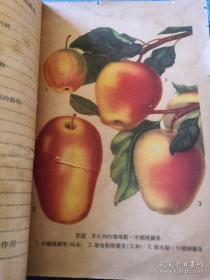 《高级中学课本 达尔文主义基础》1954年1印