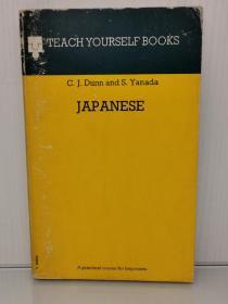 日本语初学者自学教程  Japanese Teach Yourself Books （日本）英文原版书
