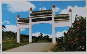 牌坊、石榴树、峄县石榴园、牡丹花60分邮资片、山东枣庄峄城榴园、冠世榴园