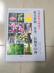 景观植物大图鉴3：藤蔓植物、竹类、棕榈类626种 精装本