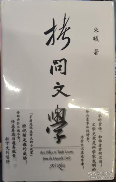 拷问文学（读了几百年小说，你需要知道作家为什么写小说）