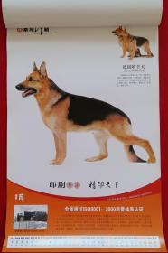 挂历2006年名犬 13全