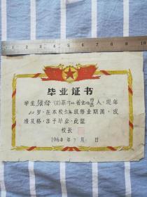 毕业证1960年