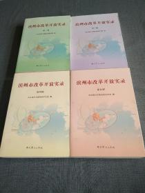 滨州市改革开放实录：第二，三，四，五，辑，四本合售。