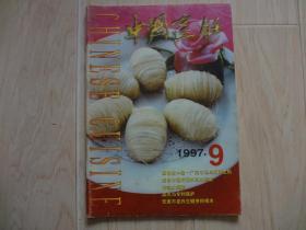 中国烹饪1997年 第9期