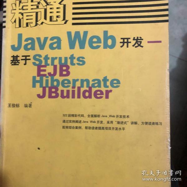 精通Java Web开发