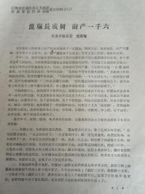 1958年放卫星   山西省农业社会主义建设先进单位代表会议 发言材料  117  【蓖麻长成树 亩产一千六   】平陆县