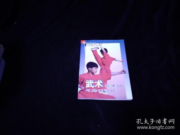 武术基本功与基本动作
