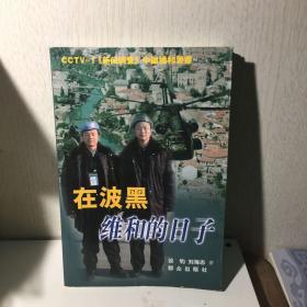 在波黑维和的日子——中国警察维和纪实系列