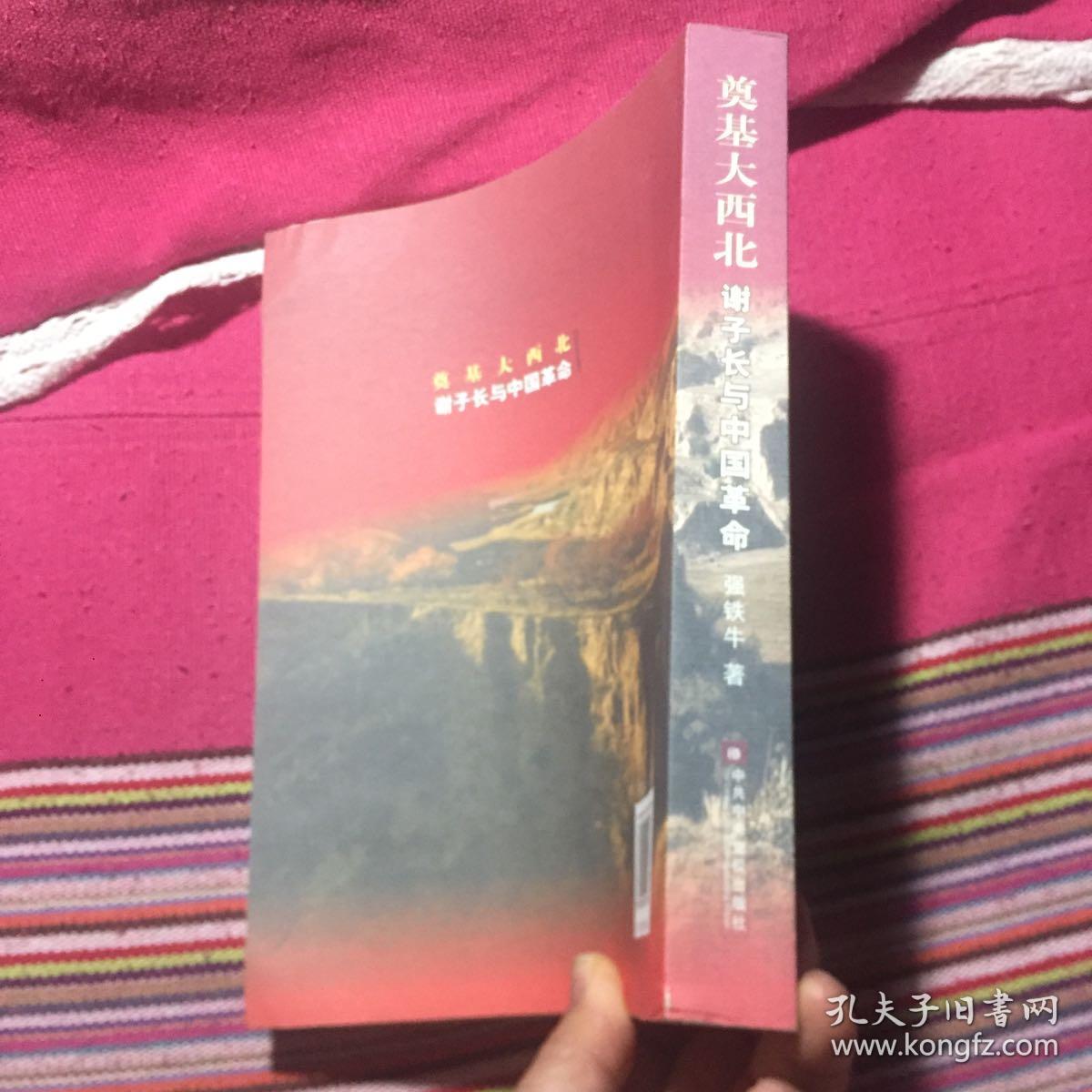 奠基大西北-谢子长与中国革命（西北红军和西北根据地创始人谢子长传记）