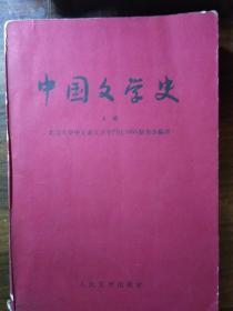 中国文学史  （上册）