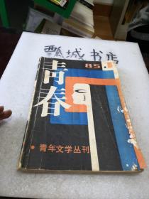 青春1985.1