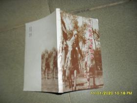 抗联将领张镇华：纪念张震华烈士诞辰一百周年【85品大32开末2页下沿有磨损前录图版2007年1版1印217页17万字】47035
